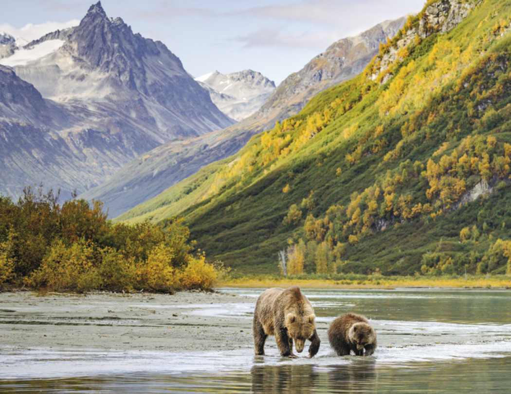Triumph® Calendars National Parks Calendar 40