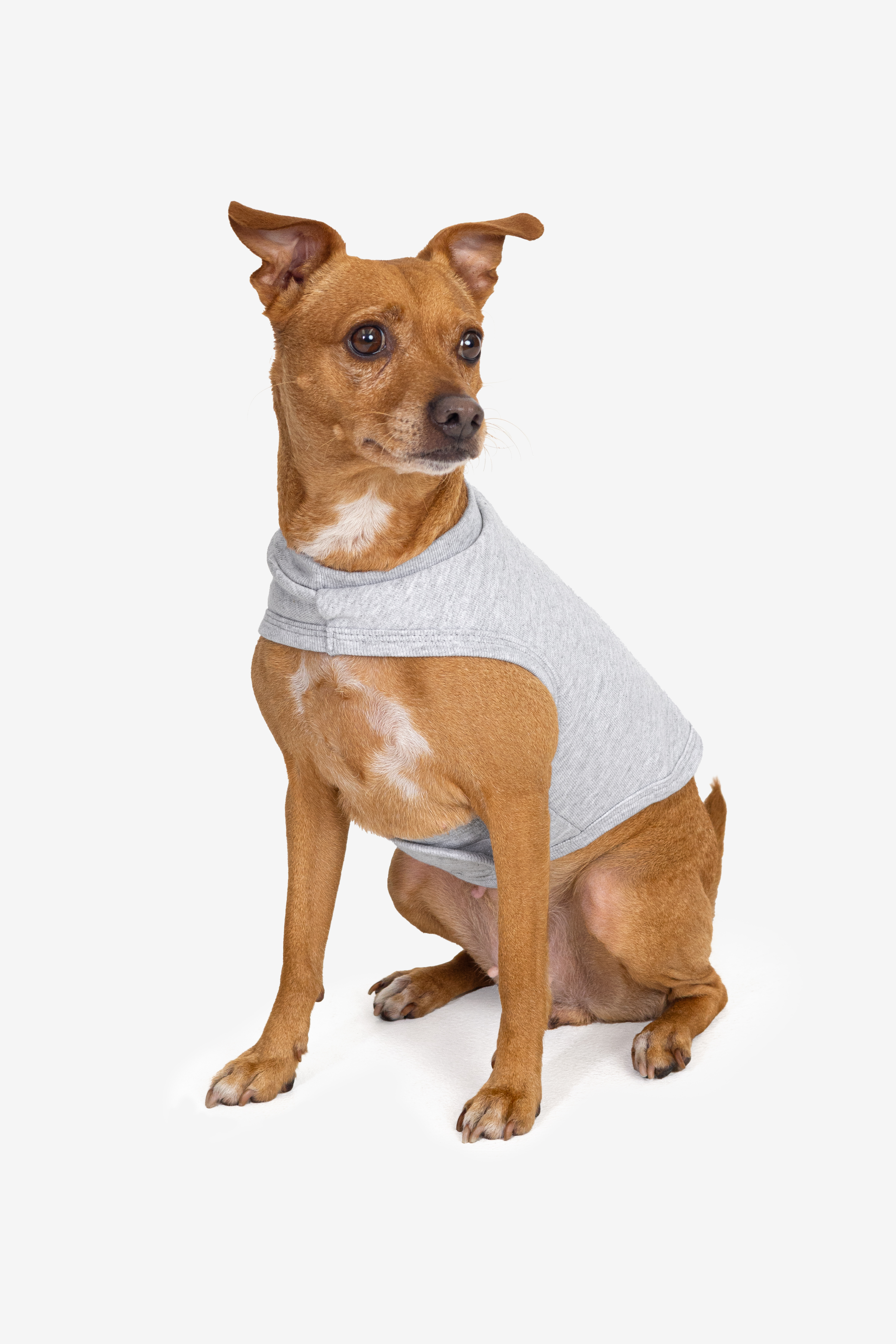 HEAVY FLEECE FLEECE DOG VEST 2