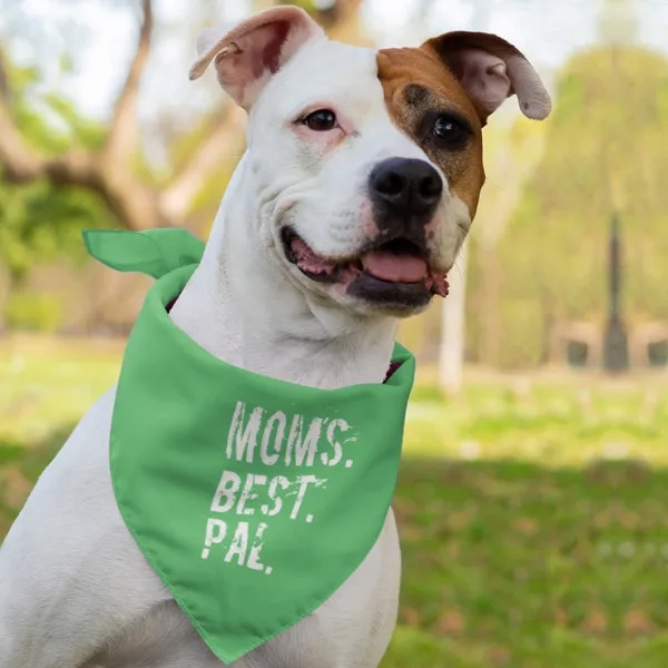 Pet Bandana Scarf 12