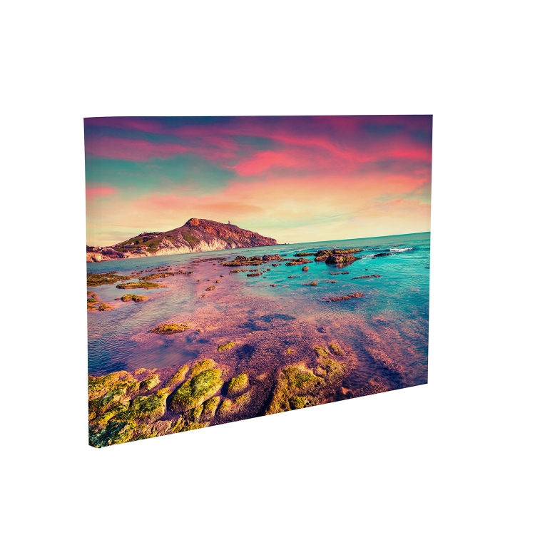 30" x 40" Canvas Print 6