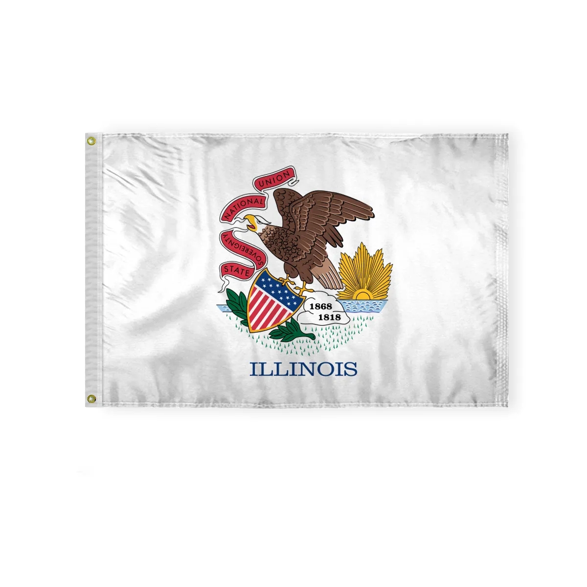 12"x18" to  8'x12'  Illinois Nylon Flags 4