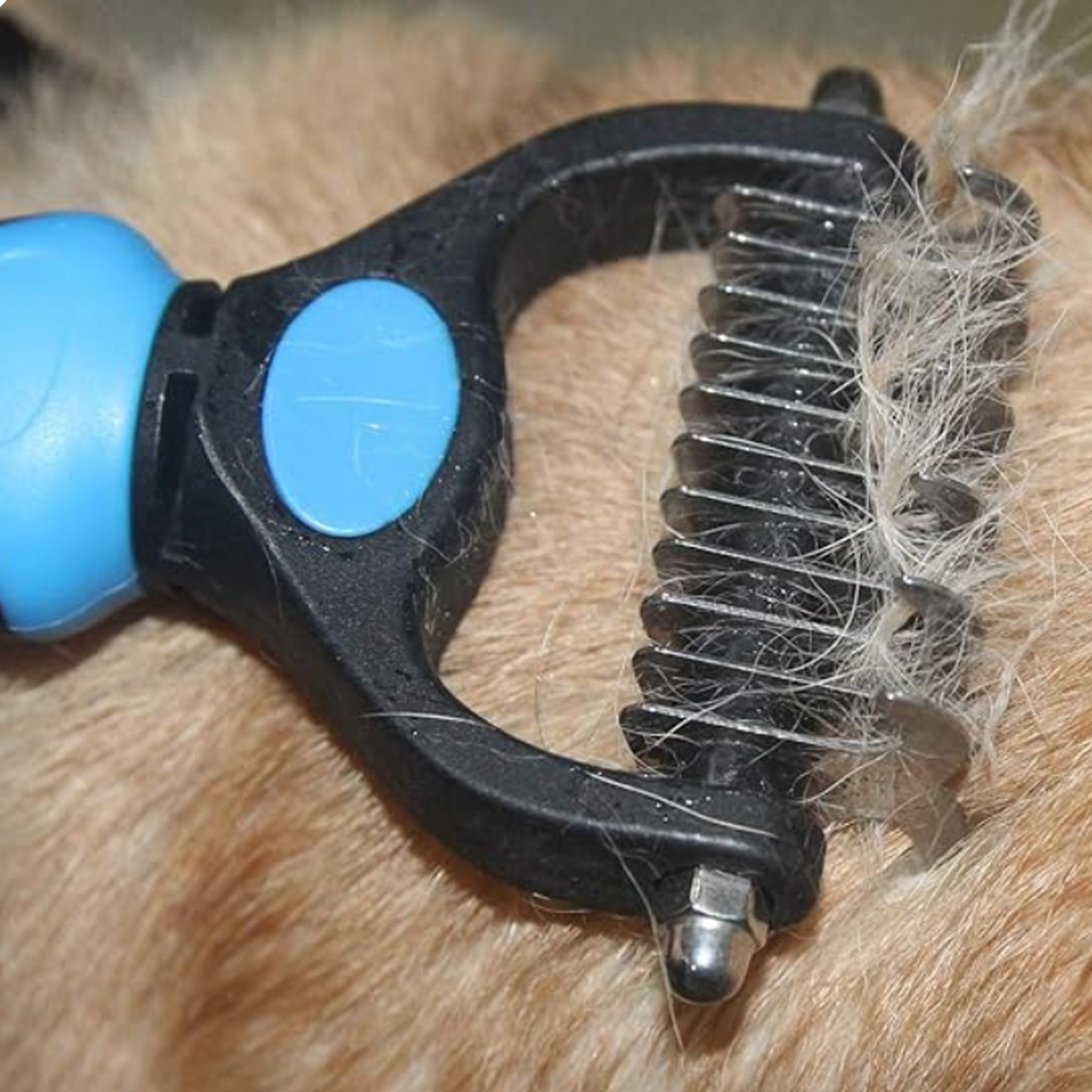 Medium and Large Pet Double-Sided Beauty Comb 3