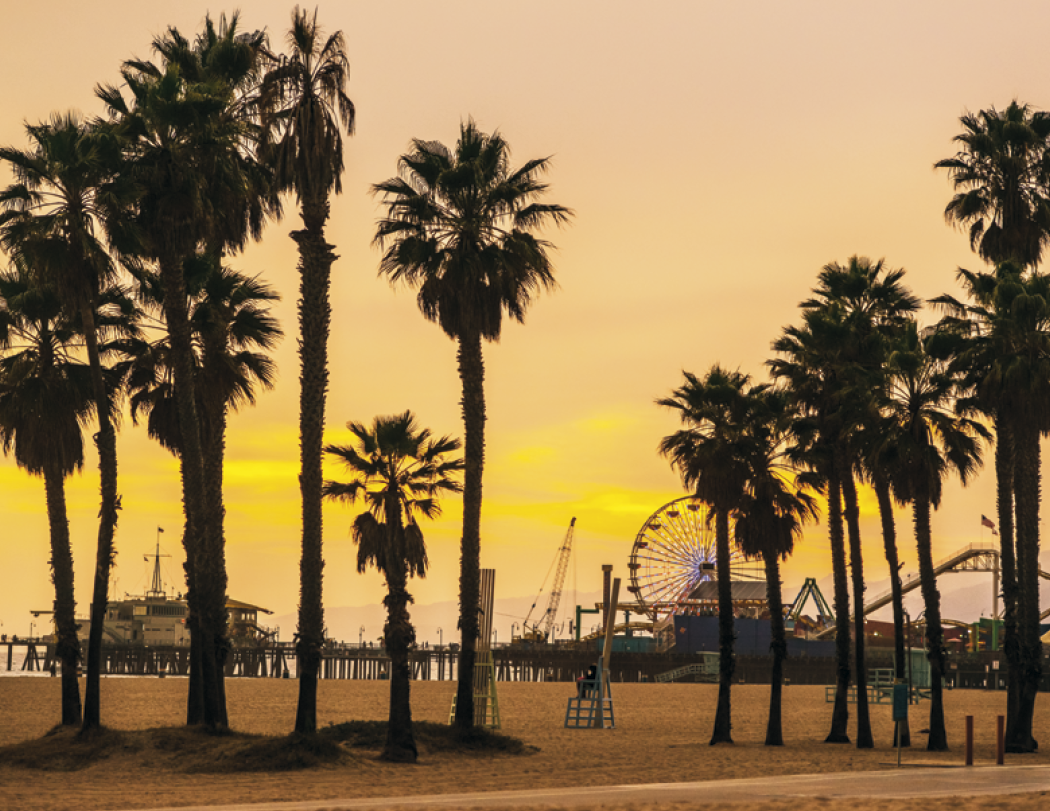 HotLine® Products California Appointment Calendar - Stapled 30