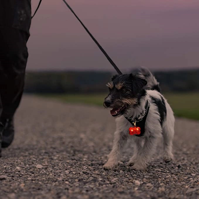 LED Pet Tag 5