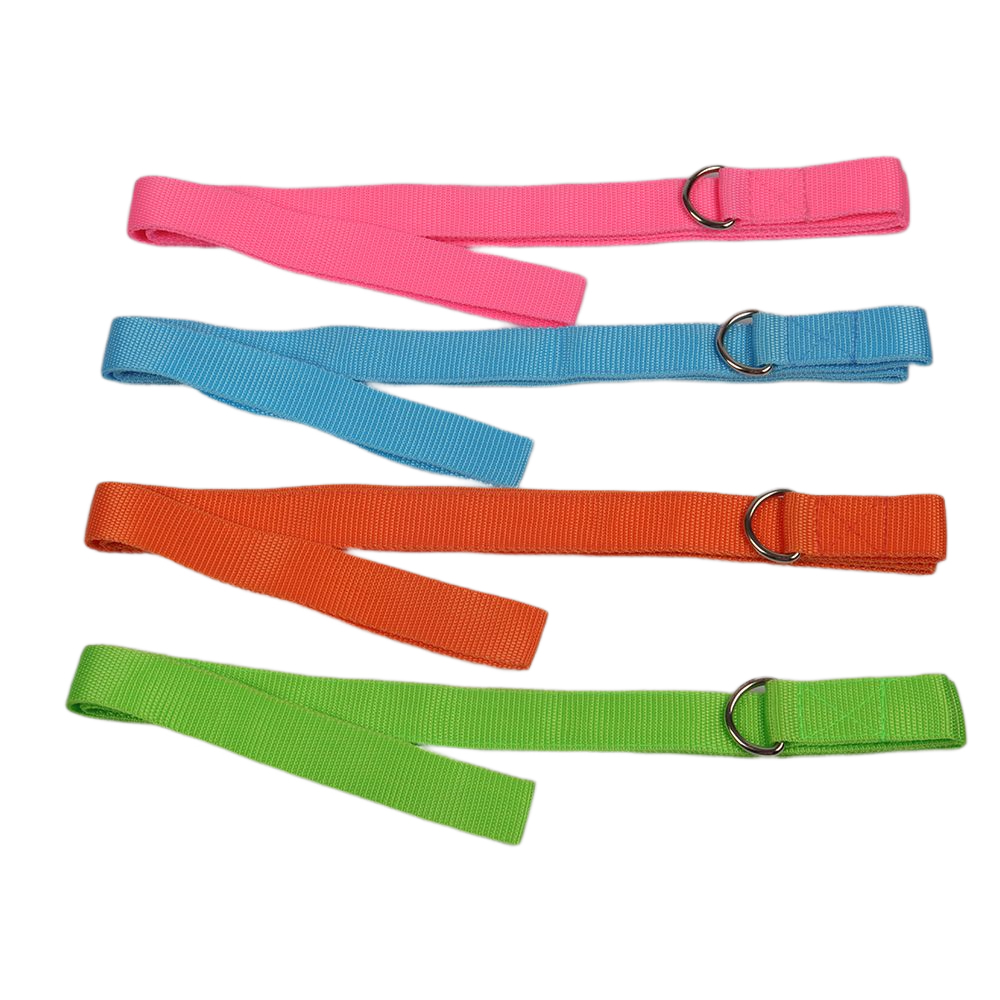 pet leash 1