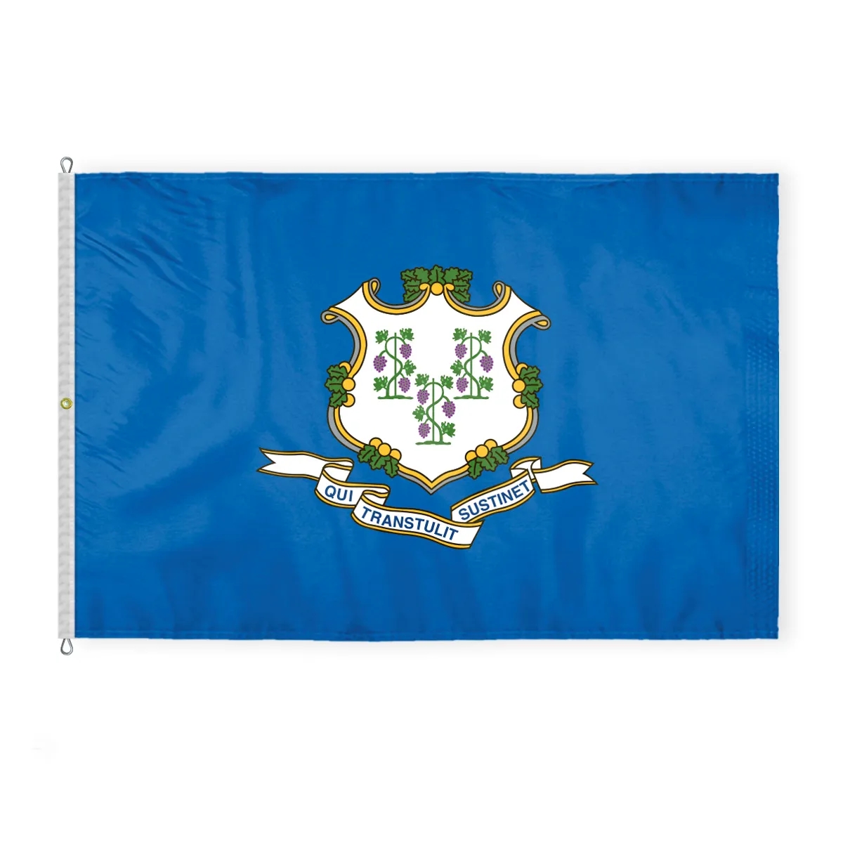 12"x18" to  8'x12'  Connecticut Nylon Flags 4