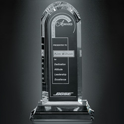 Skyline Award 6