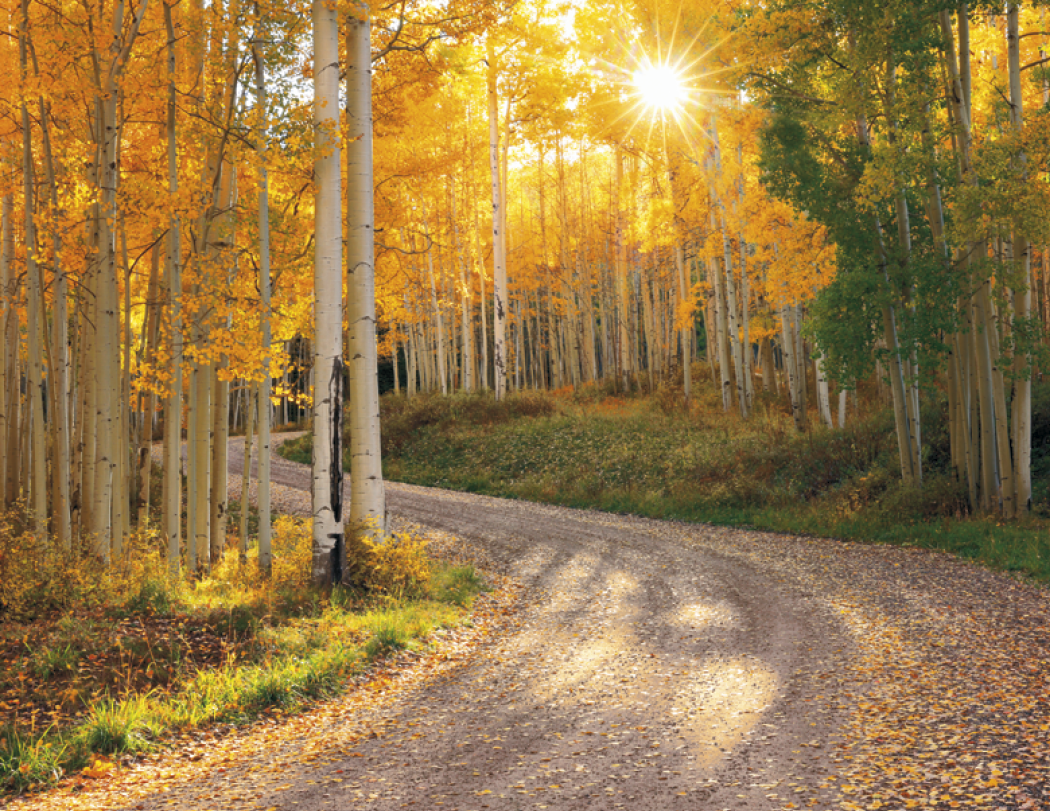 HotLine® Products Catholic Reflections Appointment Calendar - Stapled 54