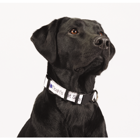 Full Color 1" Wide Adjustable Pet Collar 2