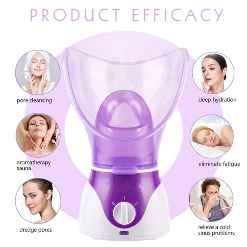 Facial Steamer Machine Humidifier 2