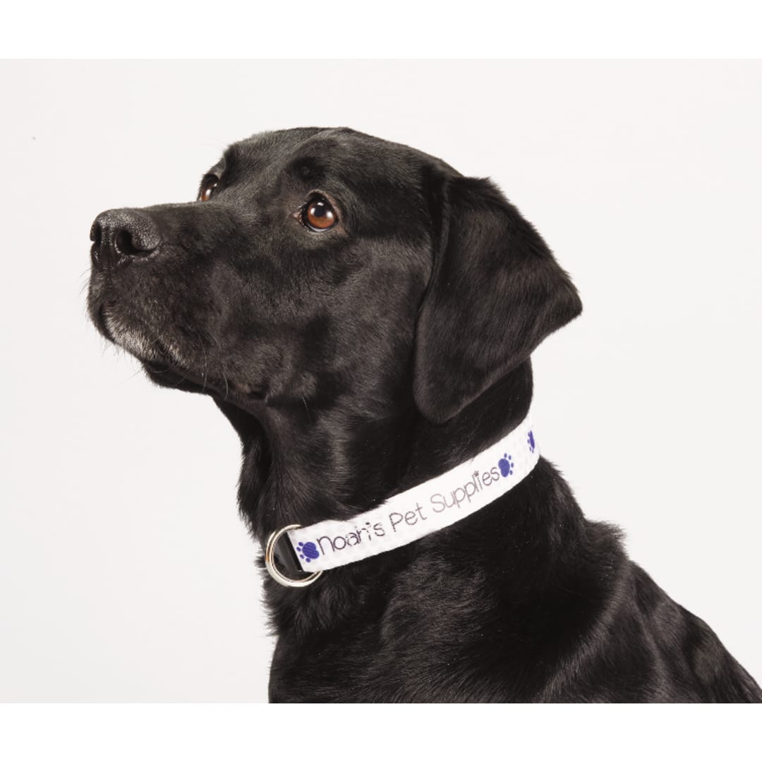 Full Color 1" Wide Adjustable Pet Collar 6