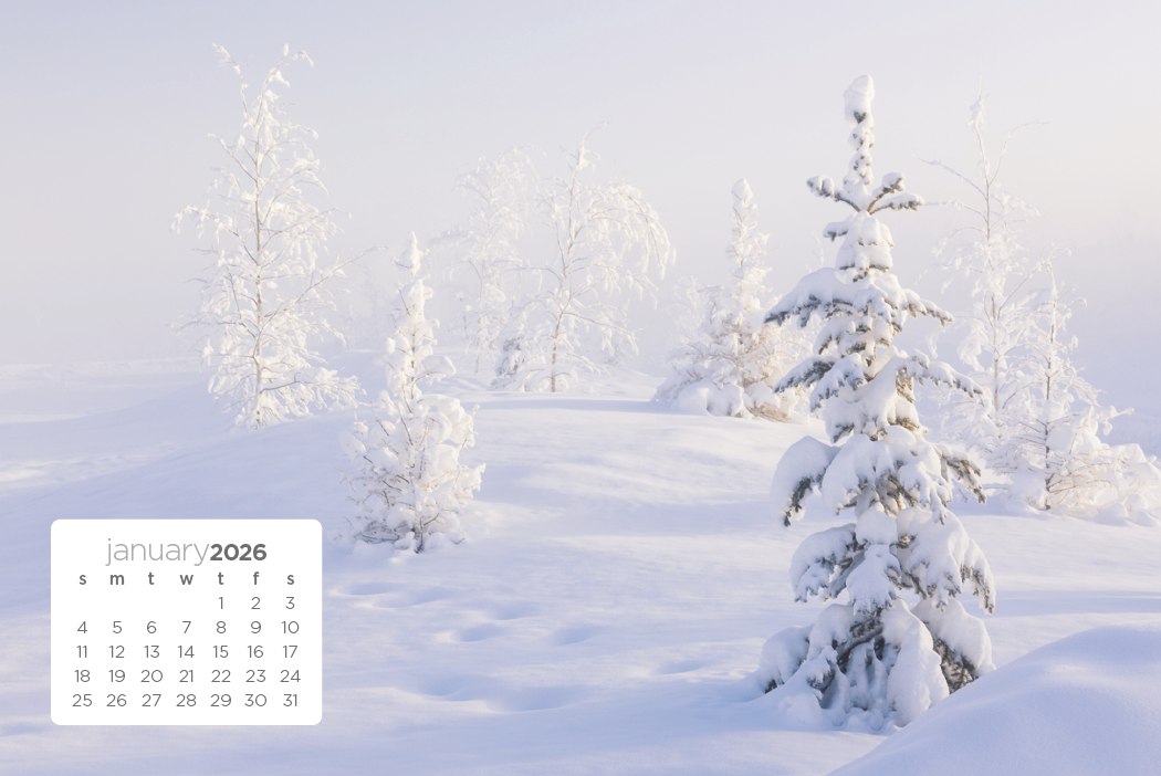 Triumph® Calendars Simplicity Large Desk Calendar