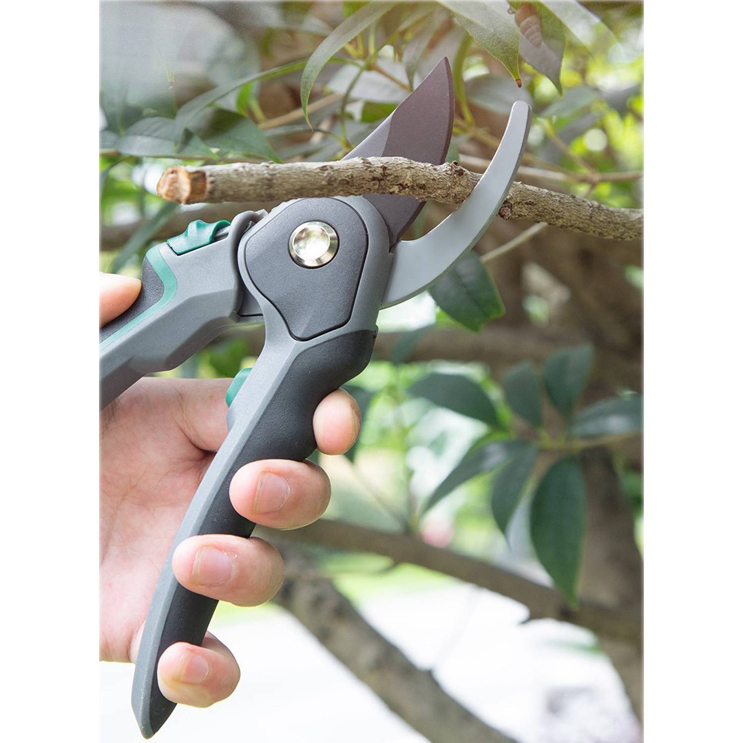 Stainless Steel Garden Pruning Shears 8