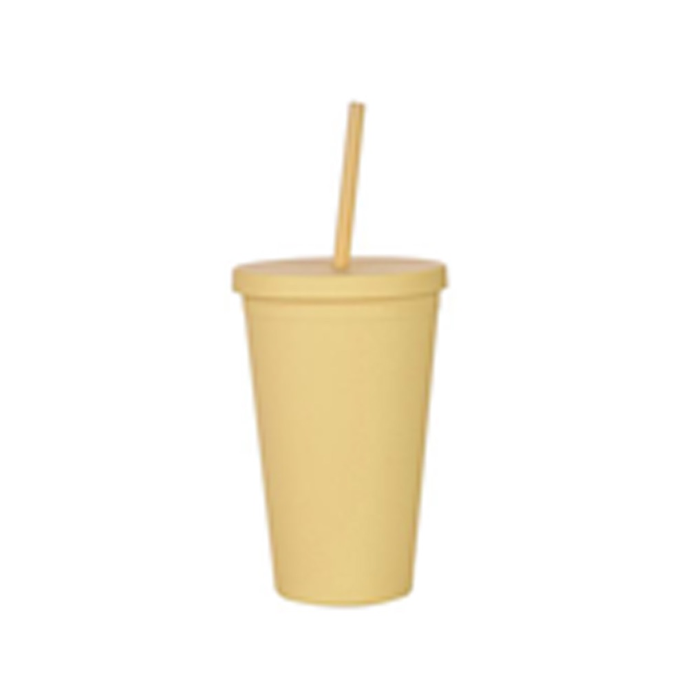 Double-Layer Plastic Straw Cup 6