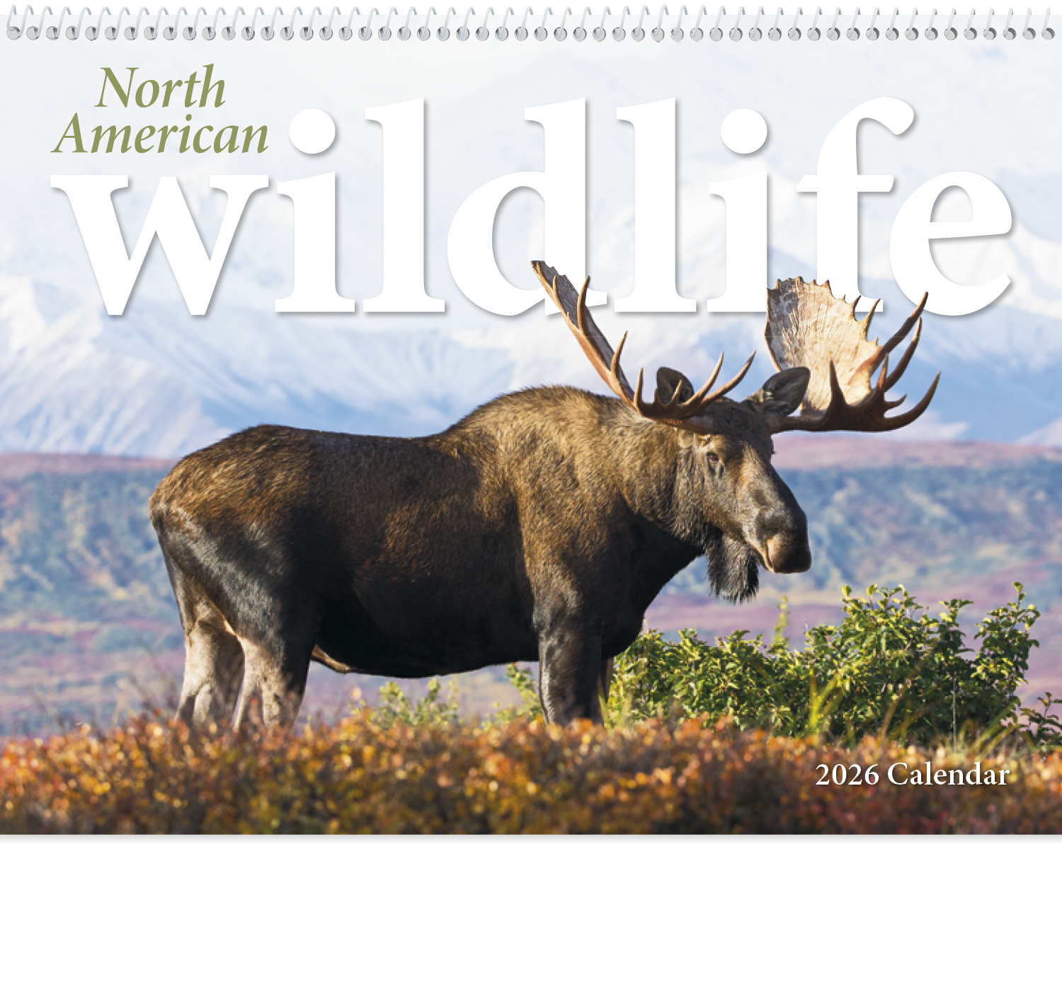 Triumph® Calendars North American Wildlife Calendar 7