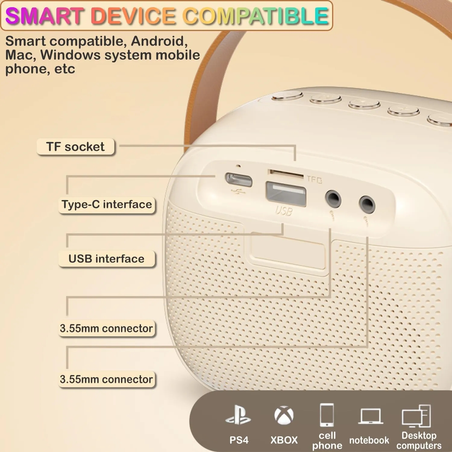 Portable Karaoke Bluetooth Speaker With Microphones 2