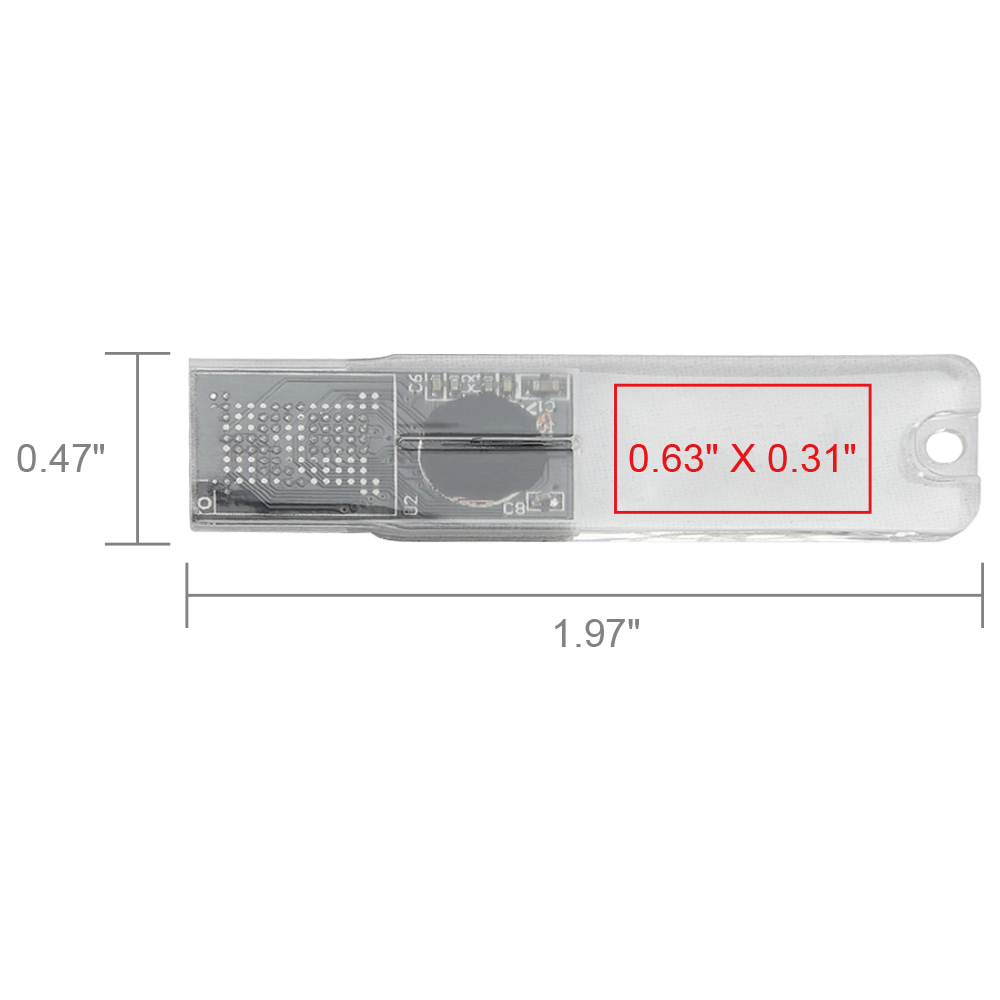 Big Rock Transparent USB Flash Drive 10