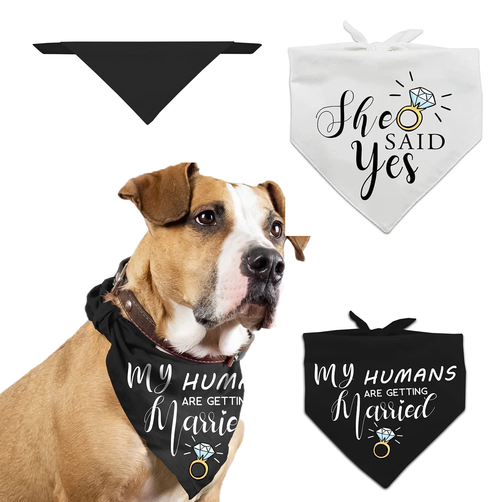 Wedding Engagement Photos, Pet Scarf Accessories 2