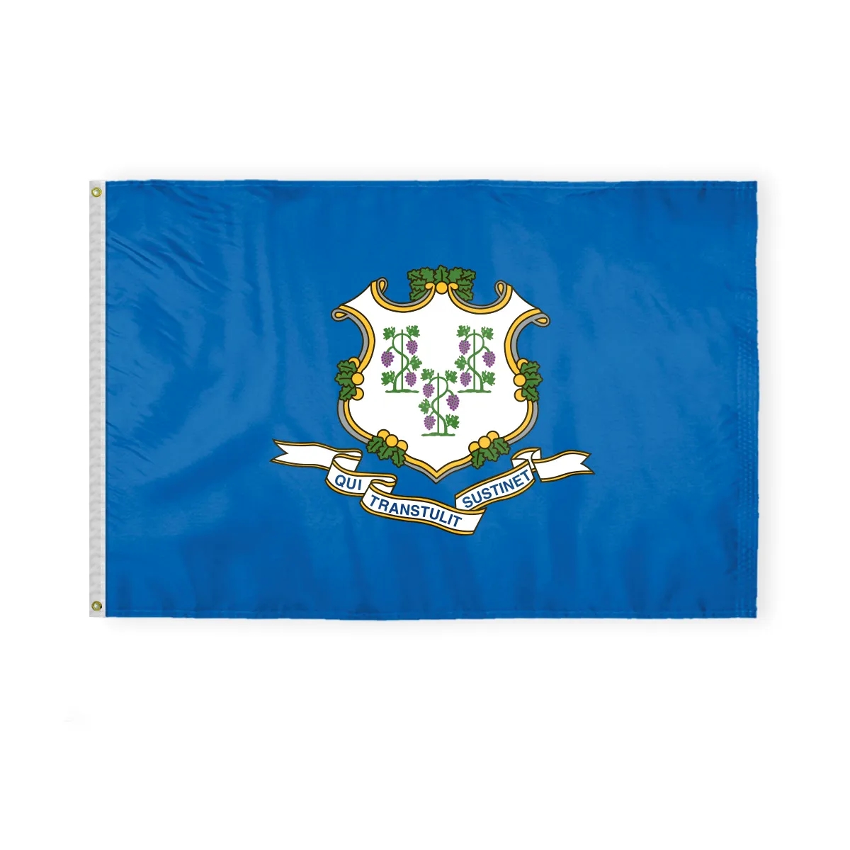 12"x18" to  8'x12'  Connecticut Nylon Flags 5