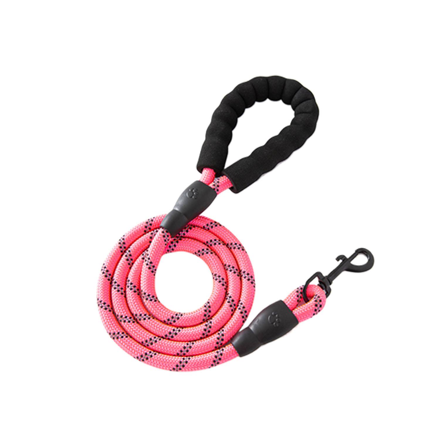 Pet Dog Leash 2