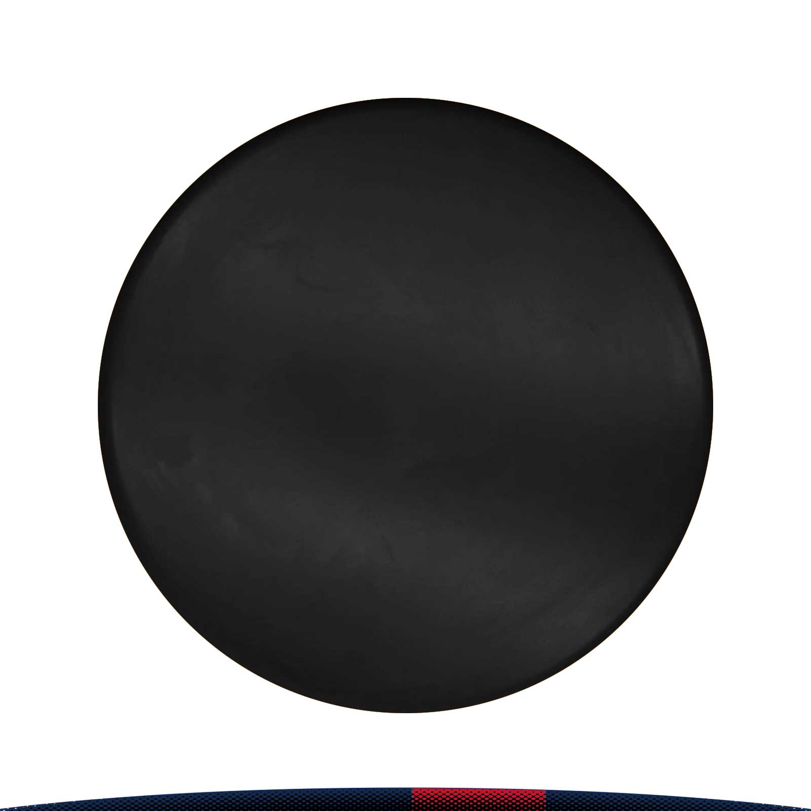 Fimoa Flying Disc 5