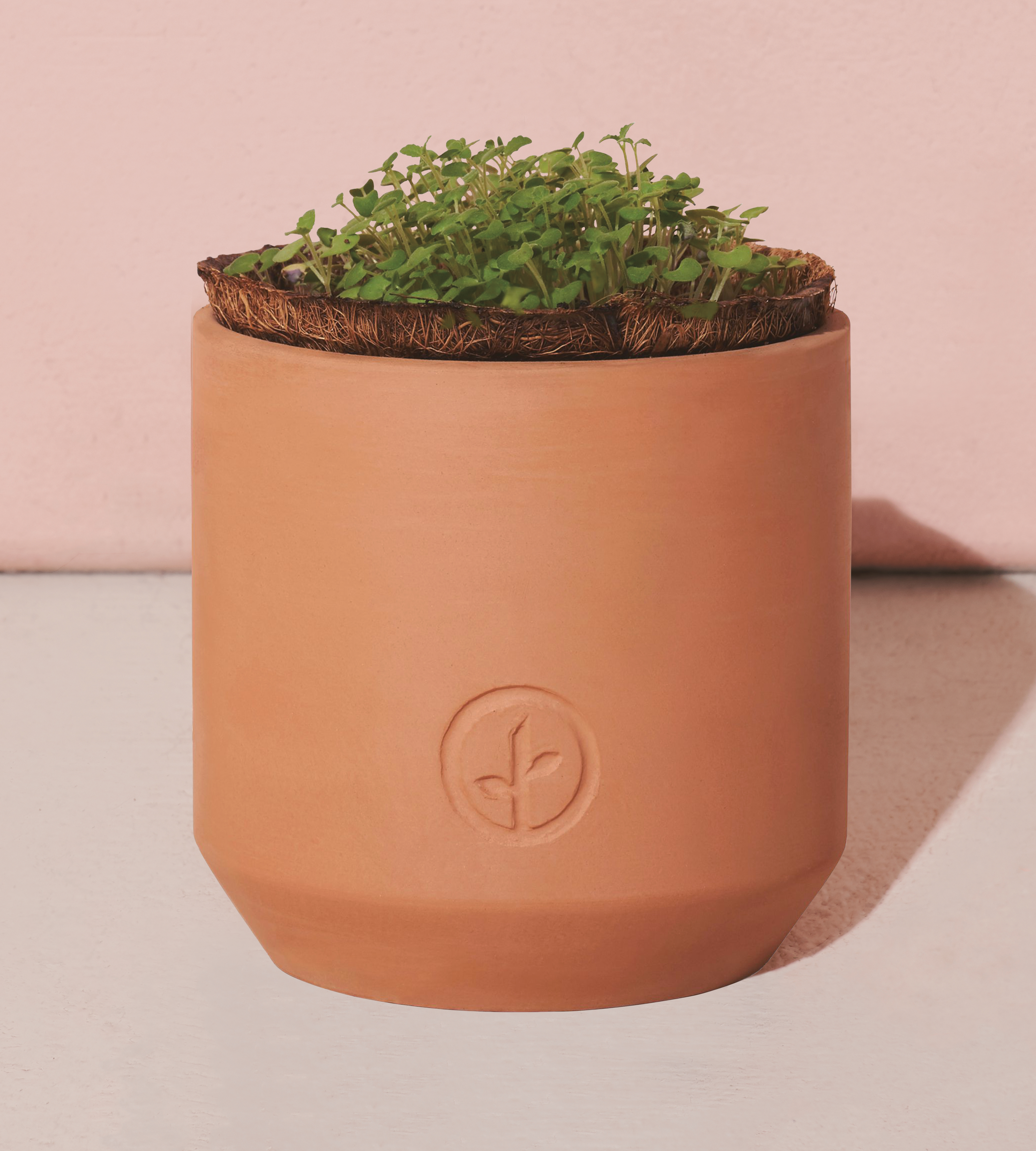 Modern Sprout® Tiny Terracotta Grow Kit Champagne Poppies 11