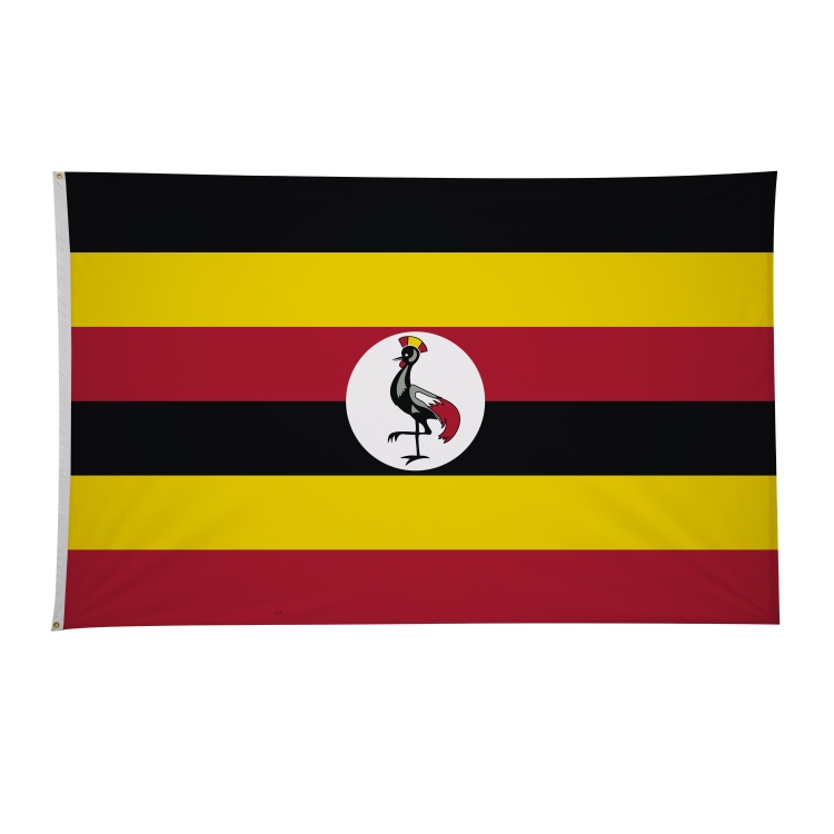 5' x 8' International Flags 34