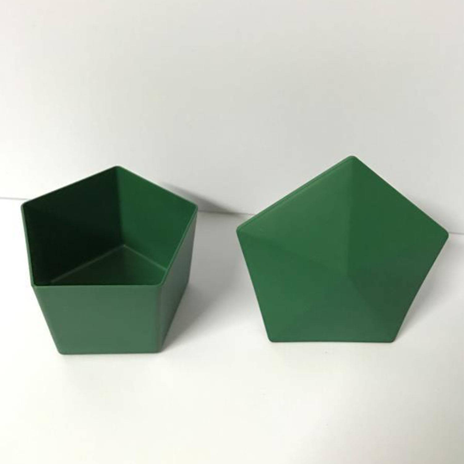 Plastic Snail Cage Insect Garden Reptile Trap 4