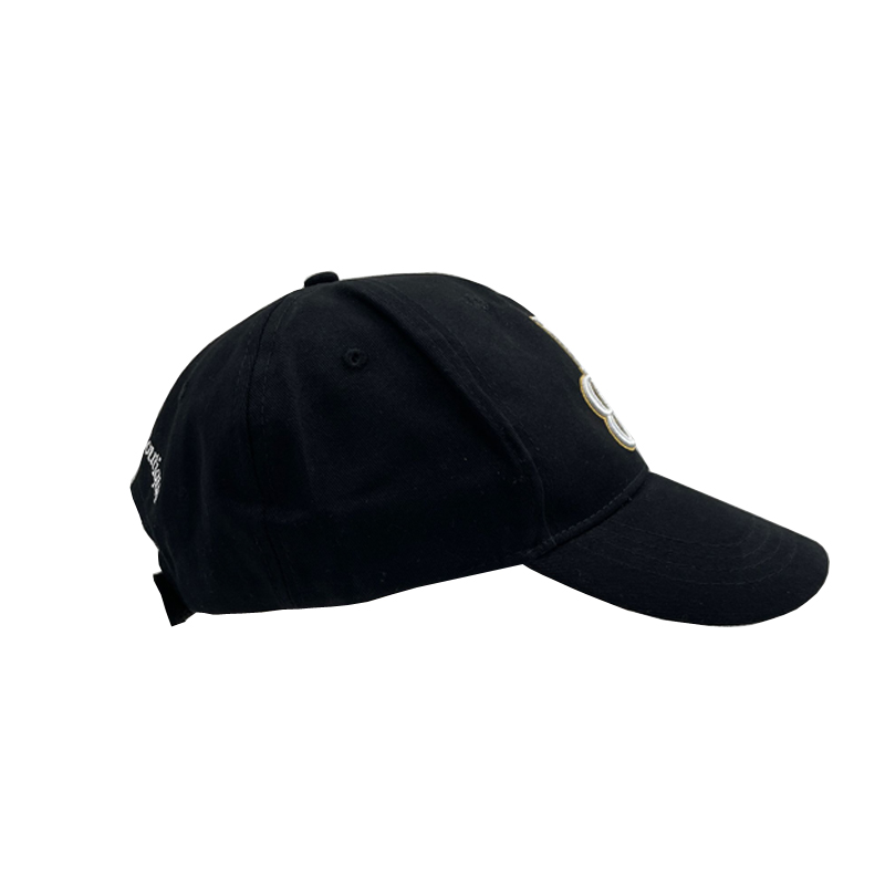 6 Panel Adult Cotton Baseball Cap 2