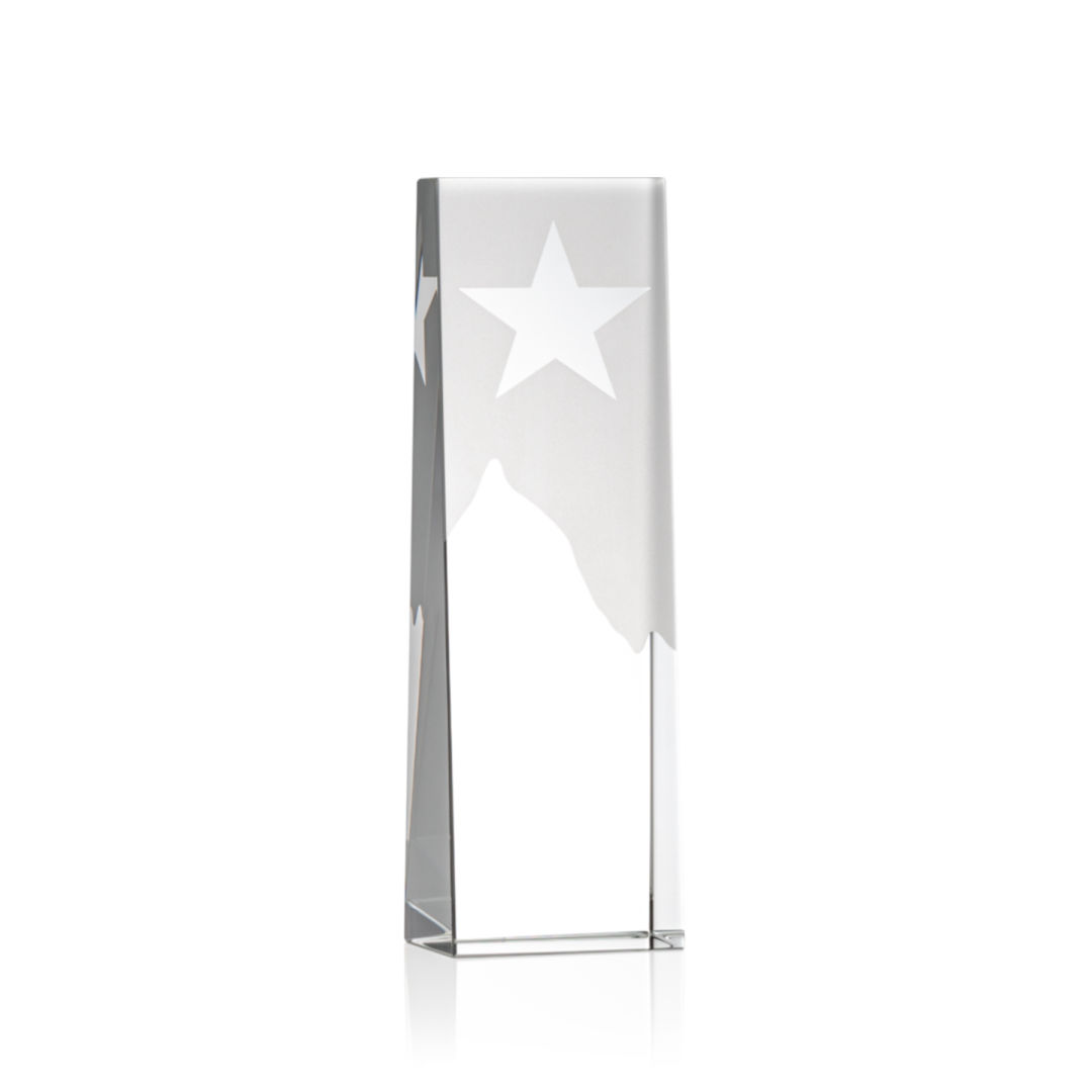 Artemus Star Award 14