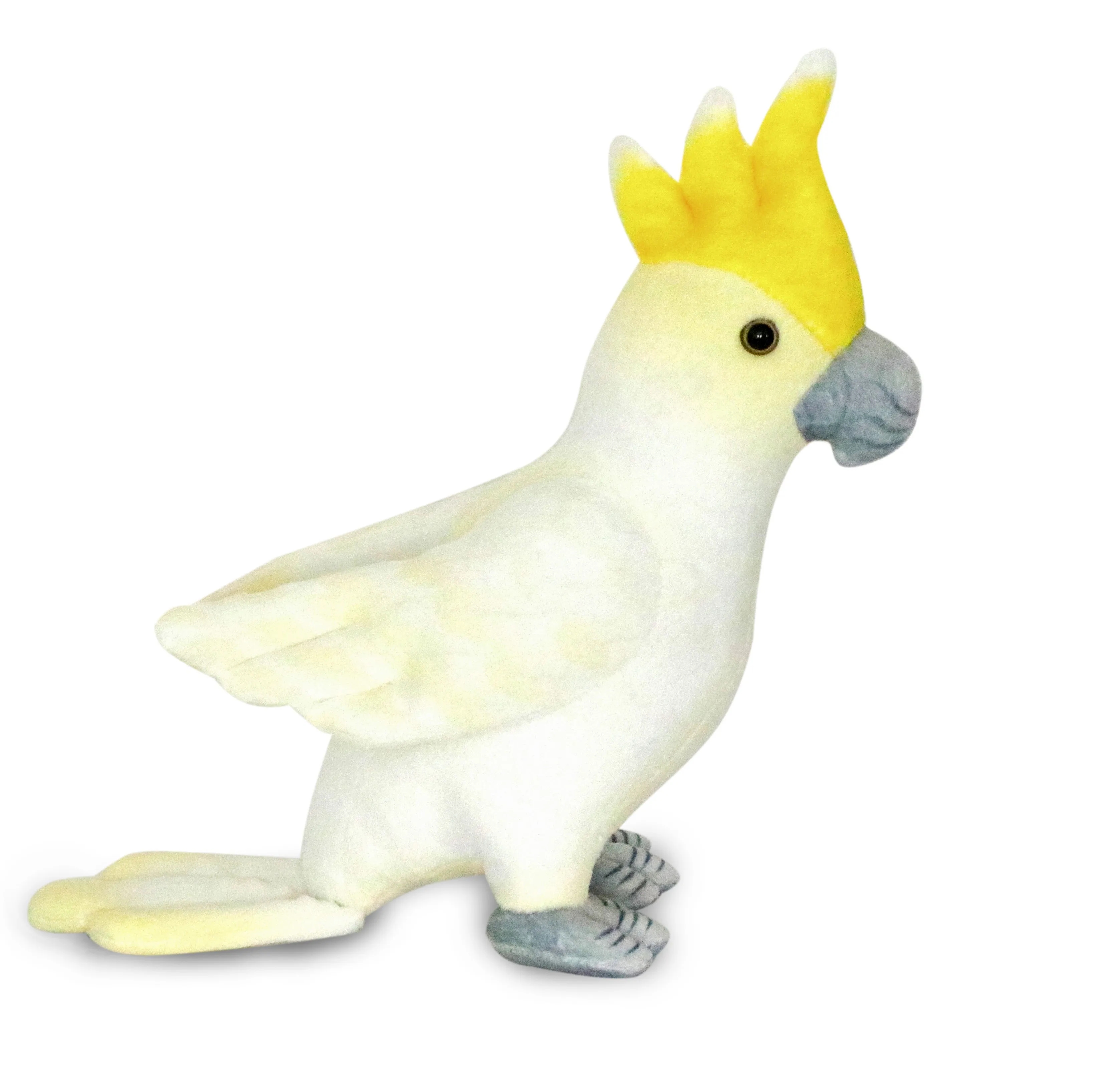 White Parakeet 3