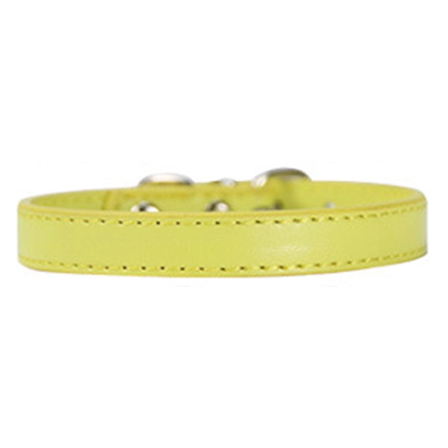 Pet Collar 1
