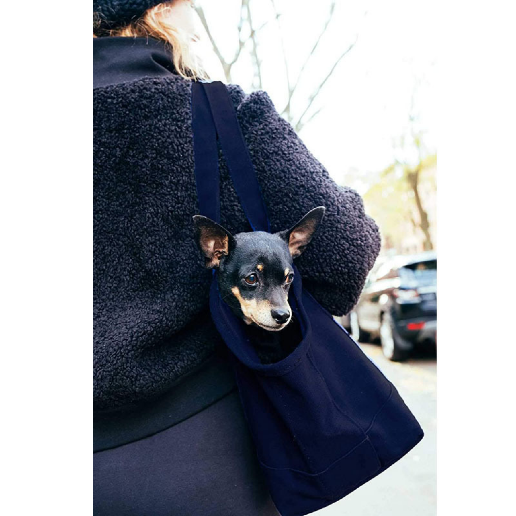 Pet Dog Backpack Sling Carrier Bag For Small Cat 7