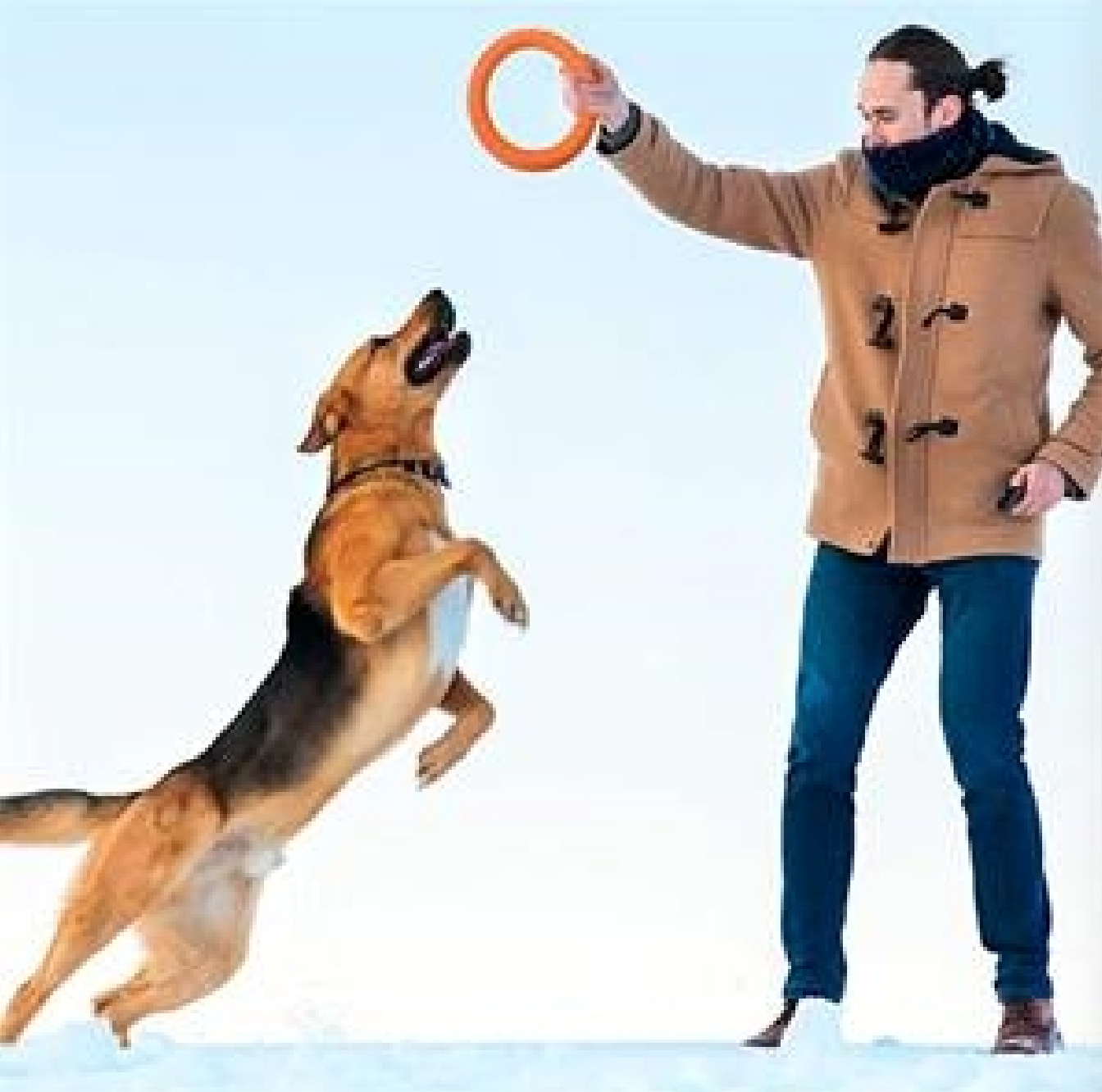 Dog Training Ring Fitness Tool Flying and Floatable Disc 4