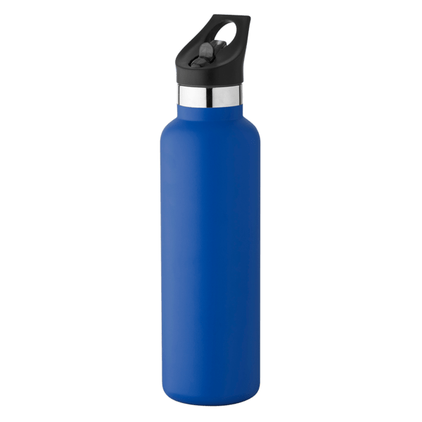 20 oz Basecamp Mesa Tundra Bottle with Screw Top and Flip-Top Straw Lid 217