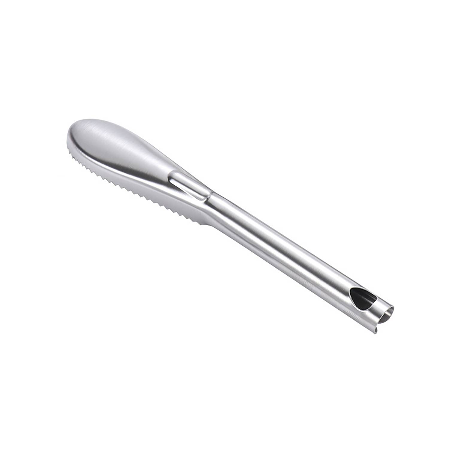 Stainless Steel Fish Scaler 4