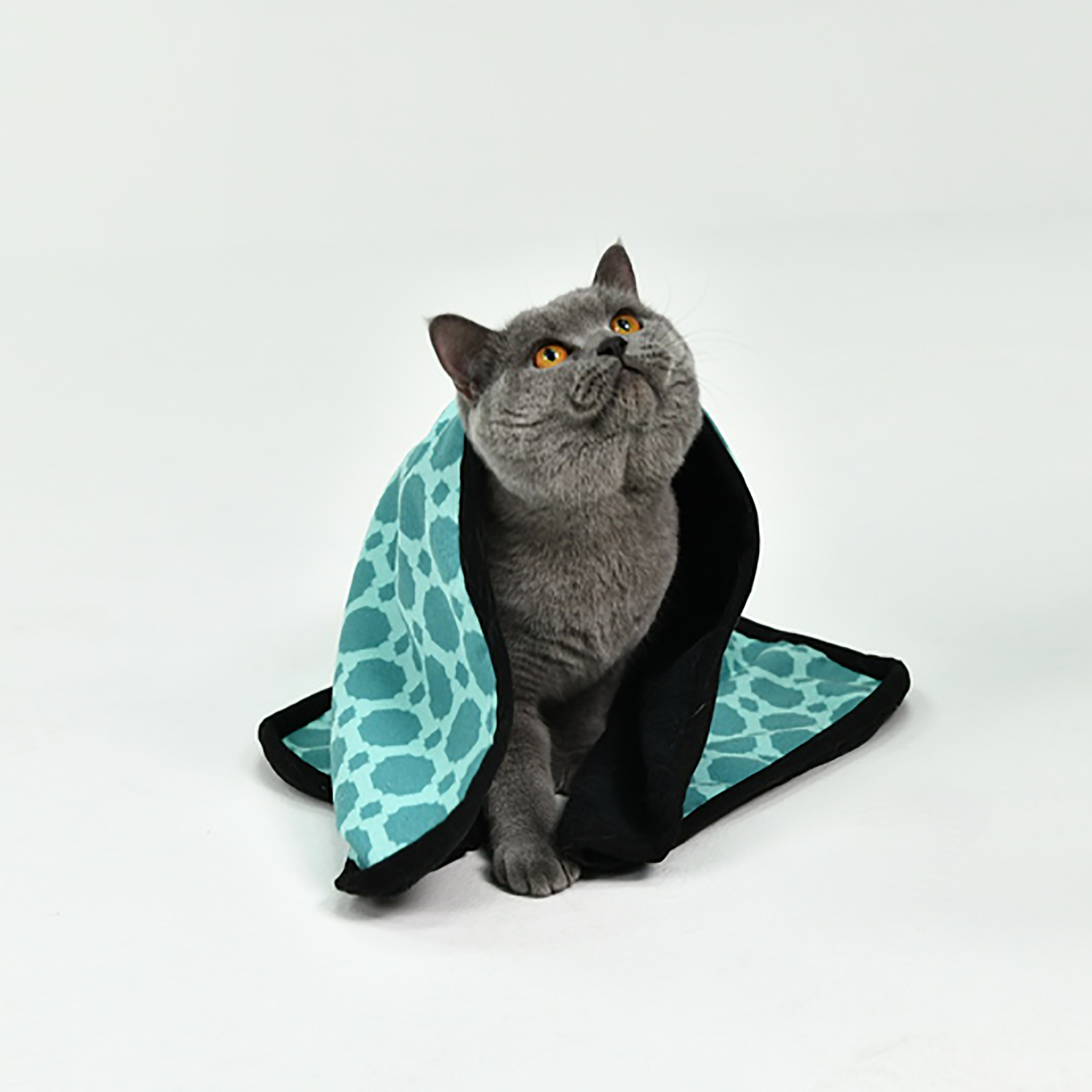 Pet Drying Towel 4