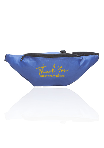 Basic Delsey Polyester Fanny Packs 9