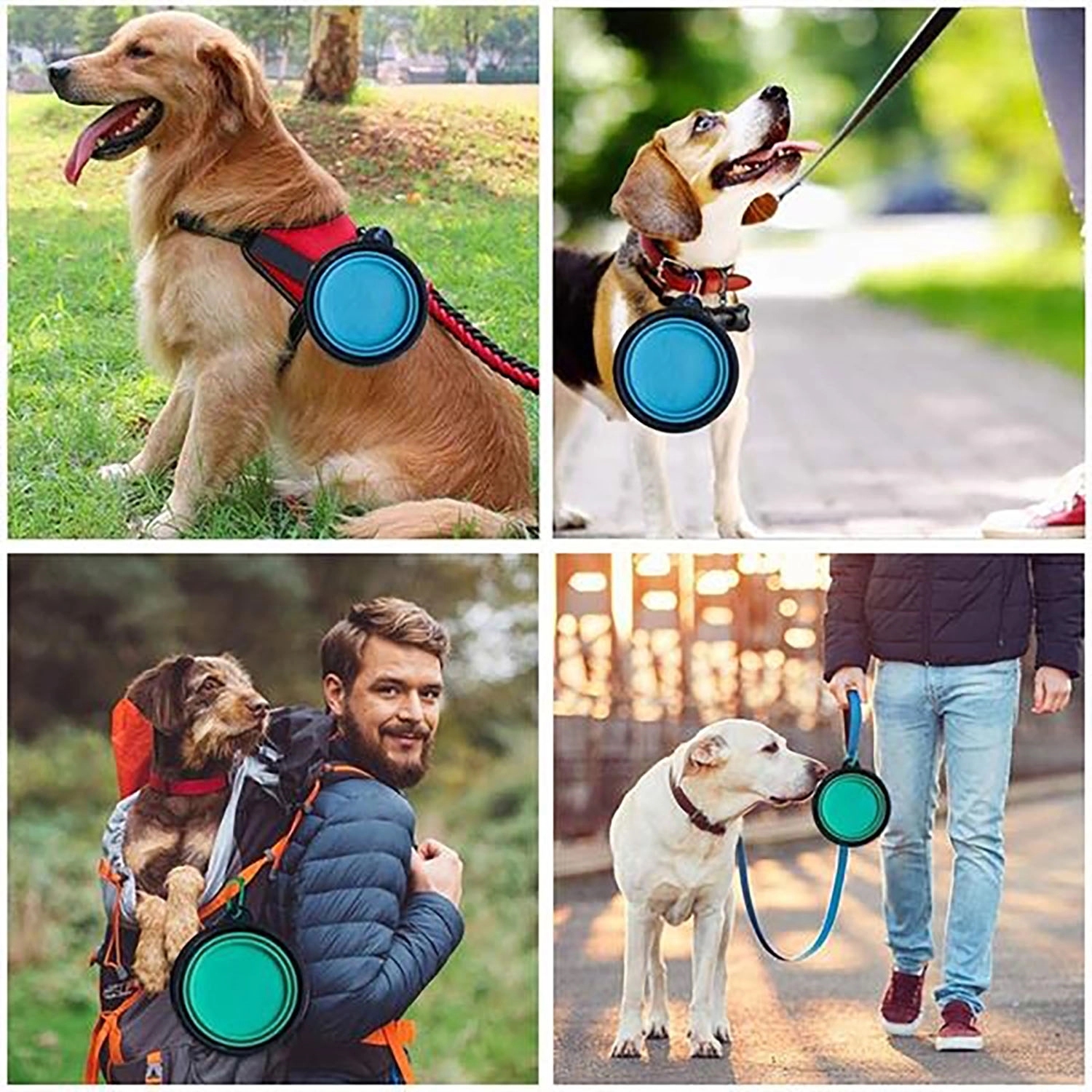 Collapsible Silicone Pet Bowl 4