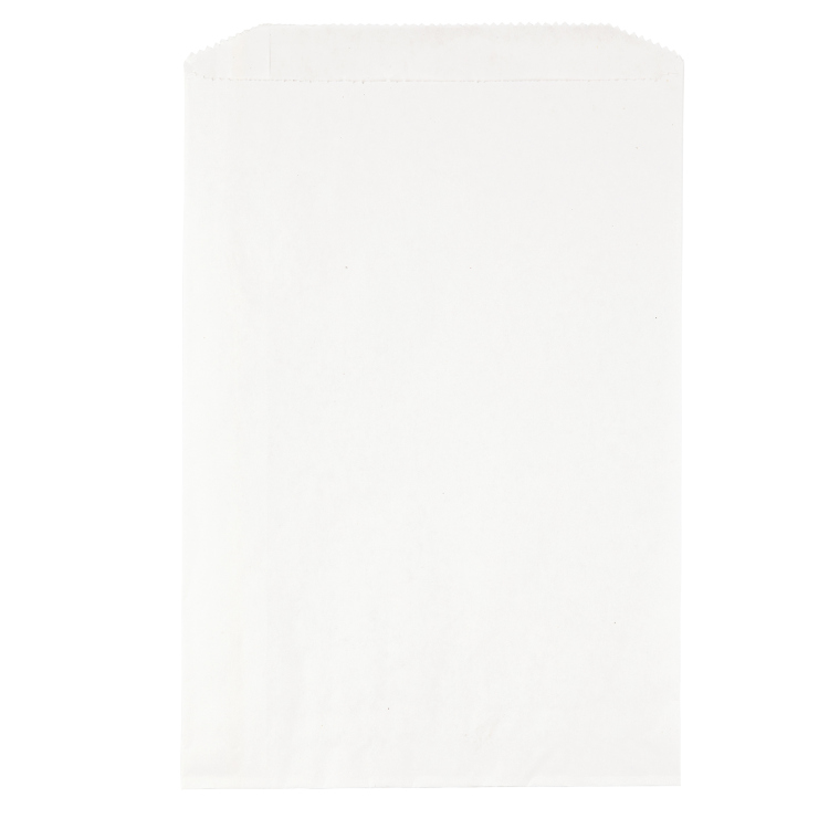 7 1/2W x 10 1/2H Merchandise Bag - Flexo Ink Print 2