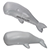 Whale Stress Reliever 4