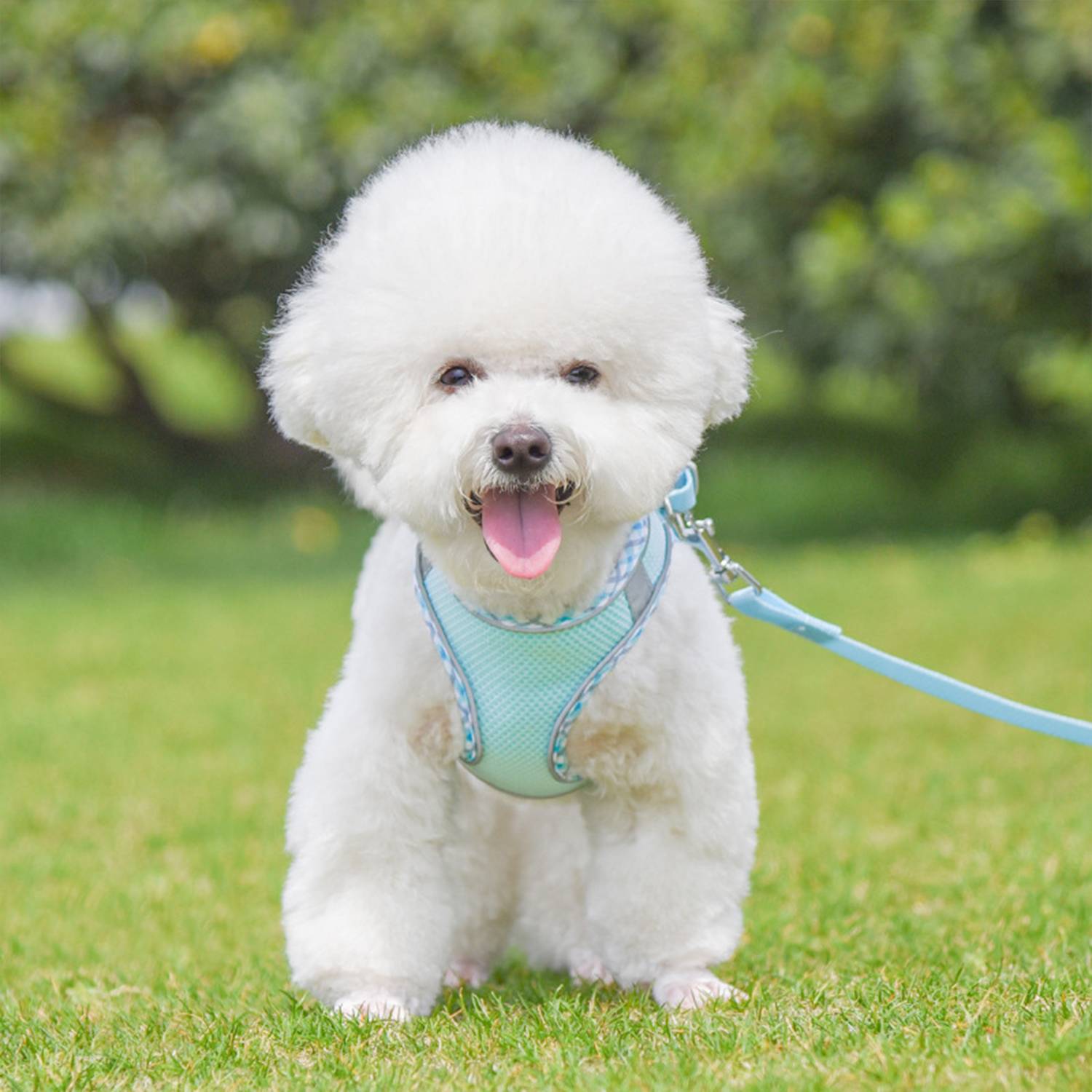 Pet Chest Harness With Reflective Plaid Hemming Dog Leash 10