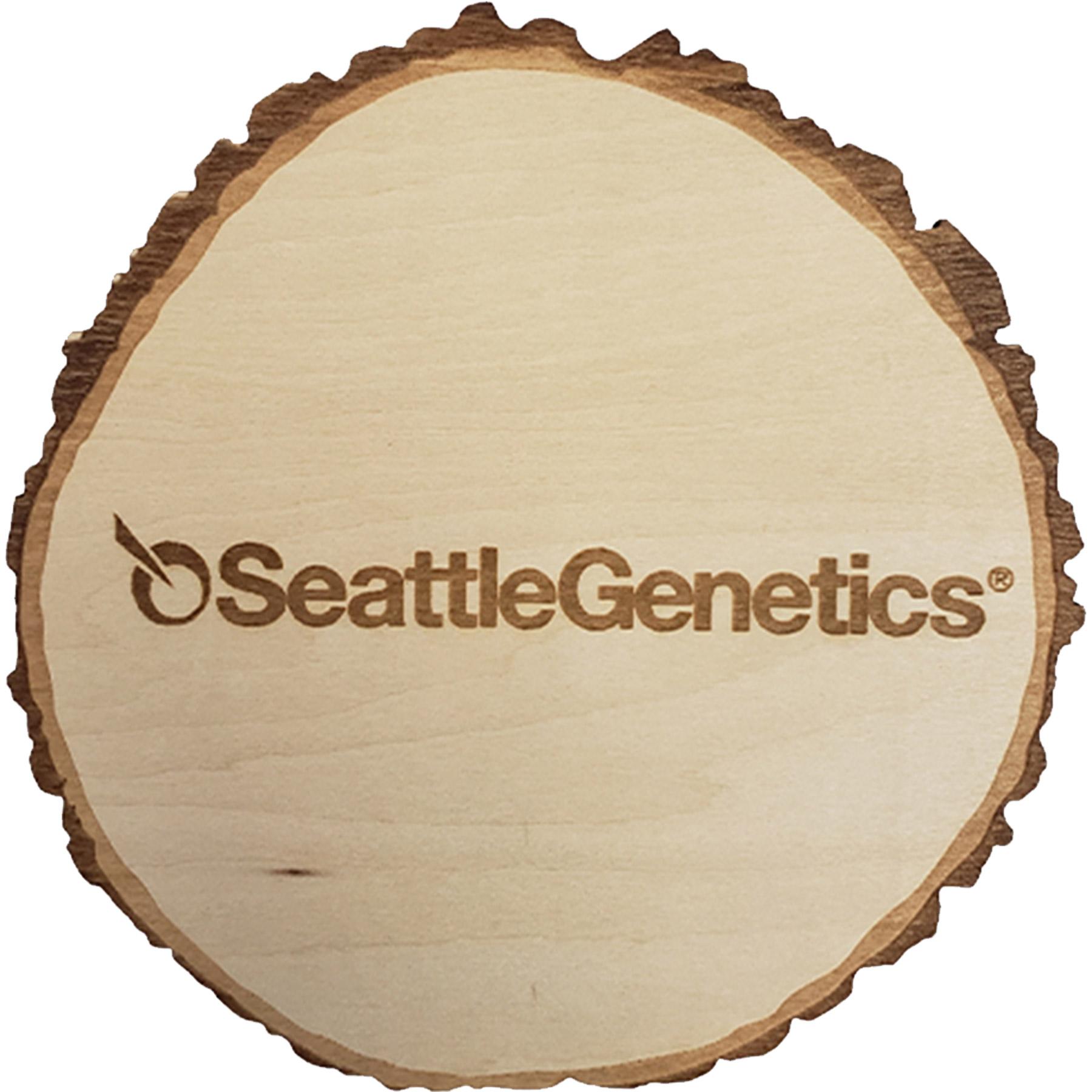 Wood Coasters: Tree Slice 2