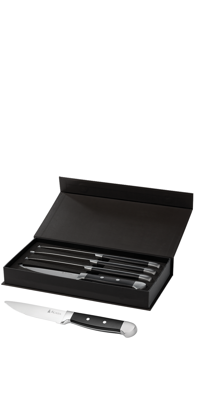Oneida® Jumbo 4 Piece Steak Knife Set 10