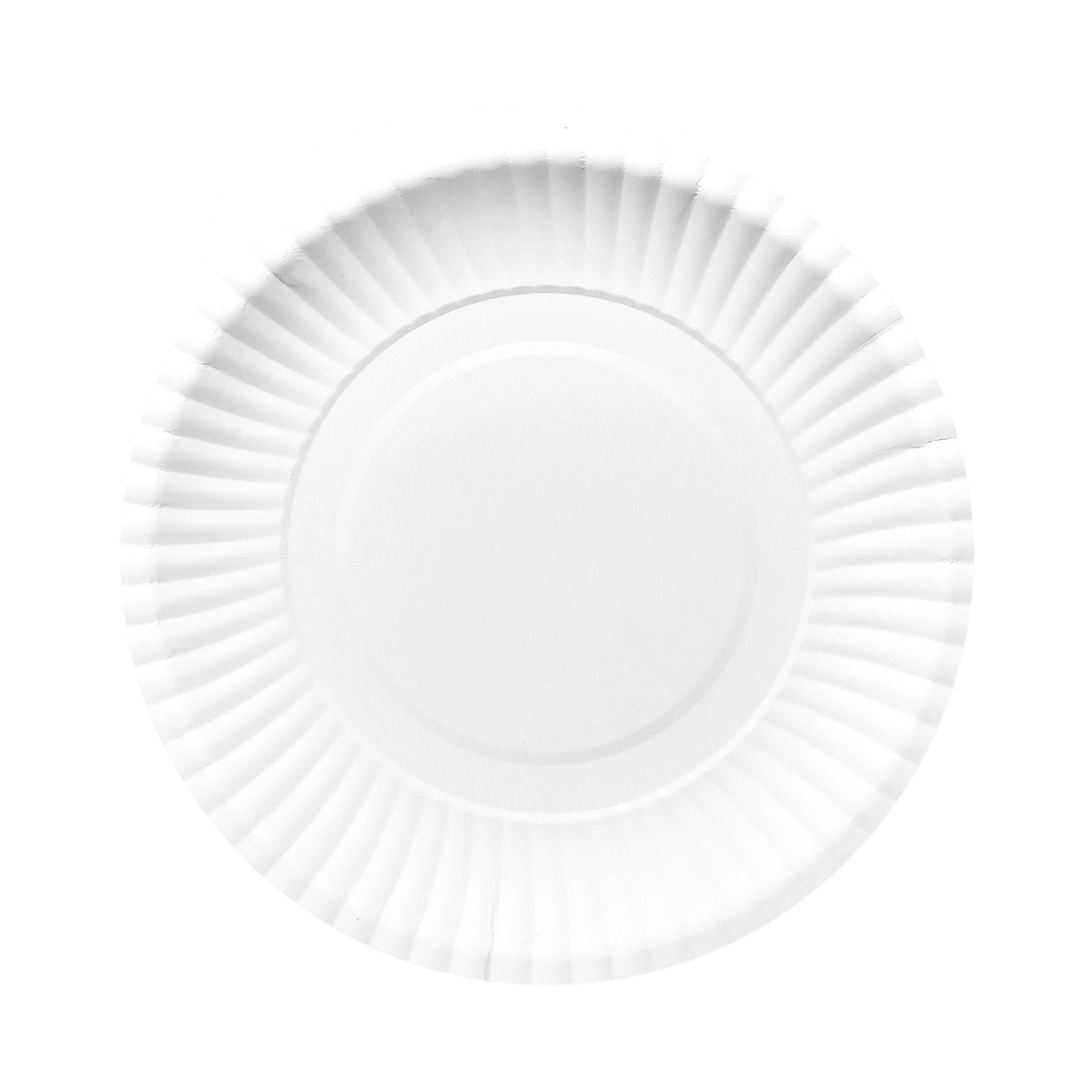 Nine Inch Party Paper Plate Food Safe Disposable 11