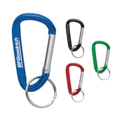 Small Carabiner Key Ring 33