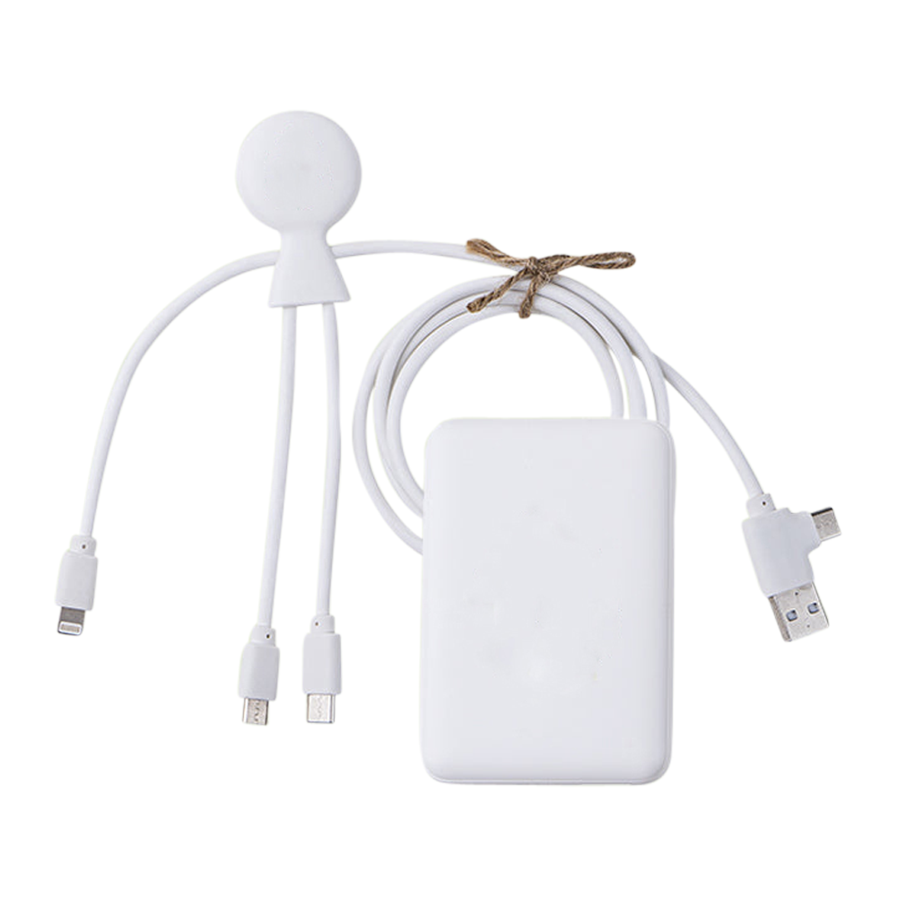 Eco-Friendly Charger/Cable Bundle 3