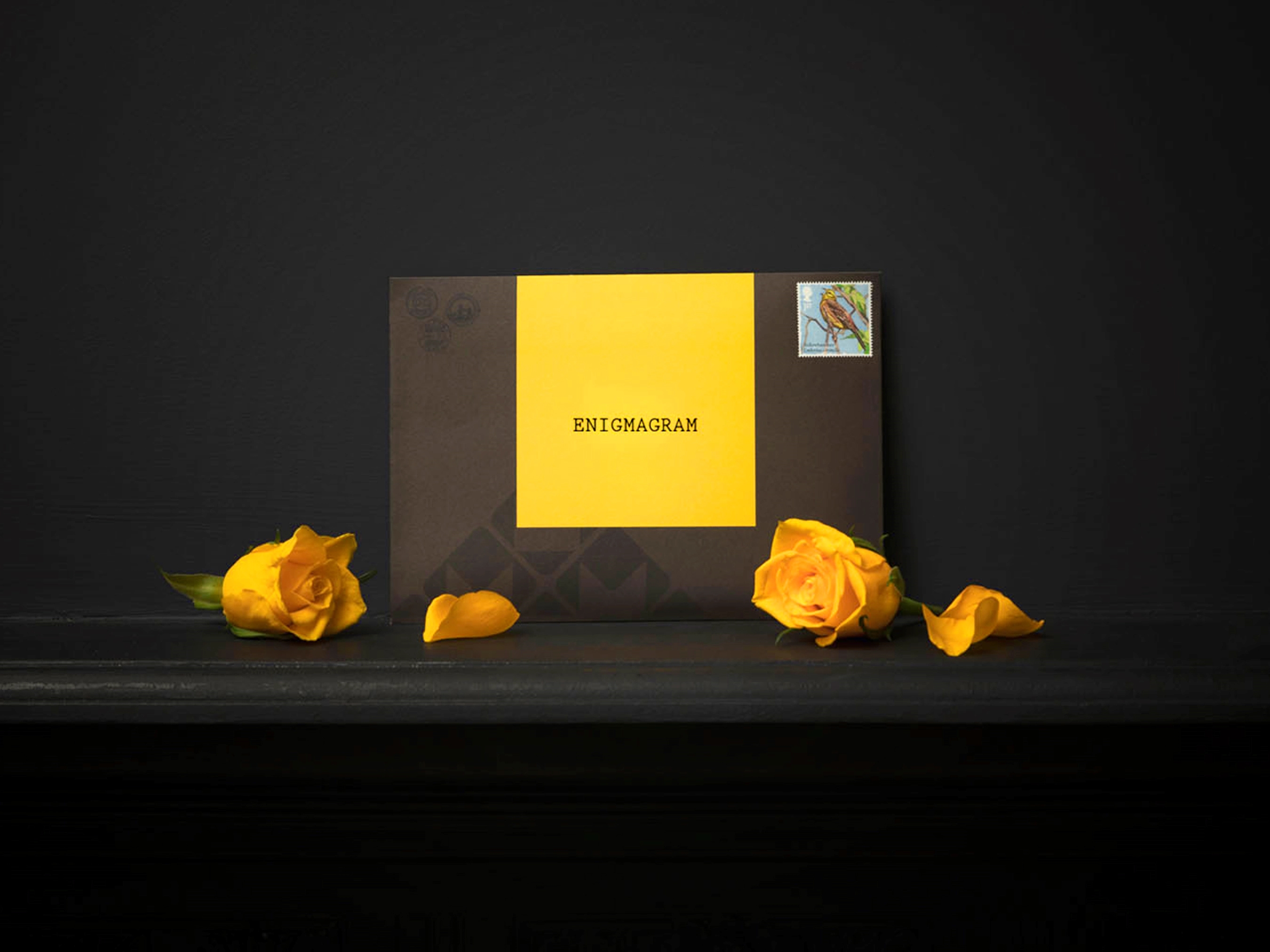 Puzzle Mailer - The Enigmagram an Escape Room Puzzle Gift 28