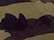 Camo Cap - BX018 3