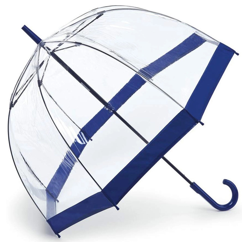 Clear and Transparent Umbrella 2